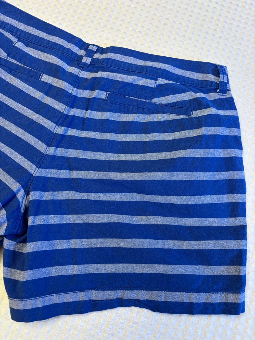Old Navy Size 10 Royal & Light Blue Striped Shorts Classic Chino Preppy - Picture 6 of 14